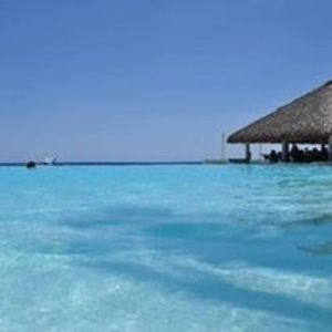 Meet your Posher, Admir alma